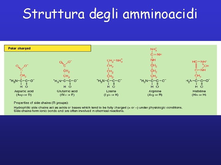 Struttura degli amminoacidi 