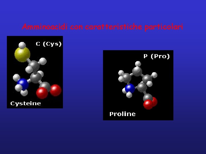 Amminoacidi con caratteristiche particolari 