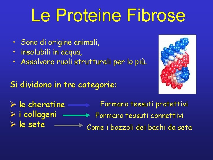 Le Proteine Fibrose • Sono di origine animali, • insolubili in acqua, • Assolvono