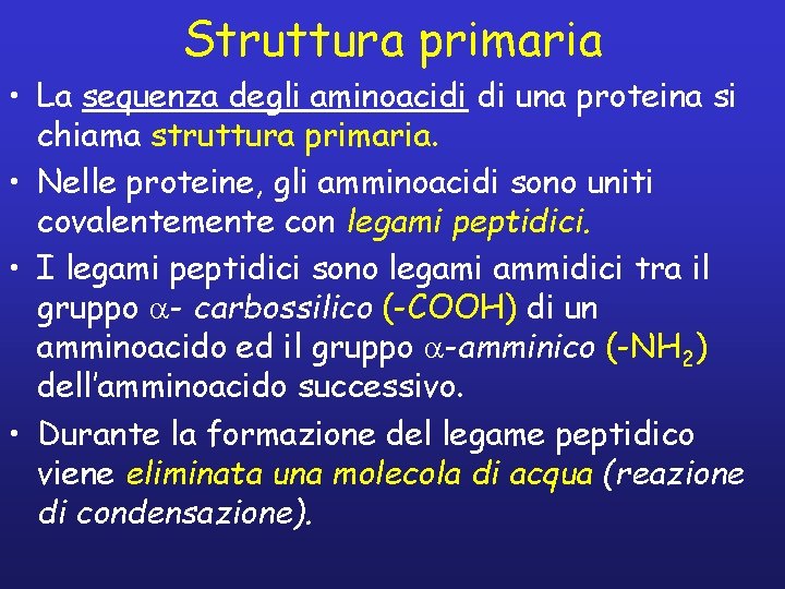Struttura primaria • La sequenza degli aminoacidi di una proteina si chiama struttura primaria.