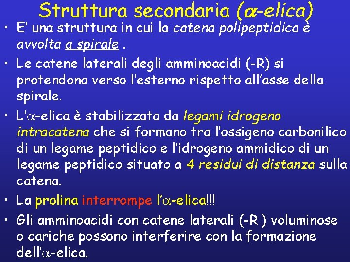 Struttura secondaria (a-elica) • E’ una struttura in cui la catena polipeptidica è avvolta