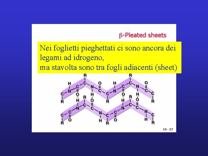 Nei foglietti pieghettati ci sono ancora dei legami ad idrogeno, ma stavolta sono tra