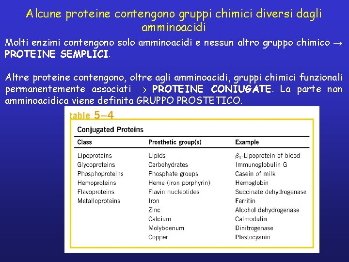 Alcune proteine contengono gruppi chimici diversi dagli amminoacidi Molti enzimi contengono solo amminoacidi e