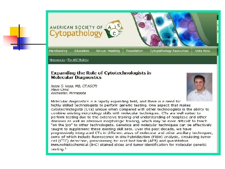 Practice Transformation for Cytotechnologists The Mayo Clinic ...