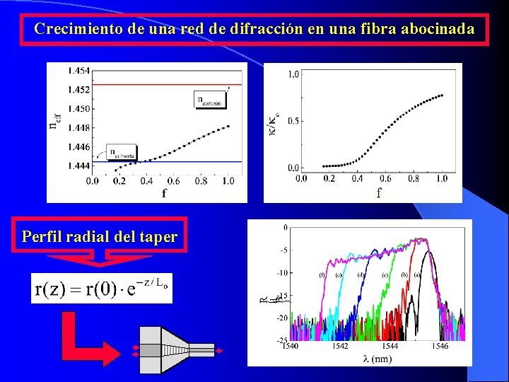 Crecimiento de una red de difracción en una fibra abocinada Perfil radial del taper Crecimiento de una red de difracción en una fibra abocinada Perfil radial del taper