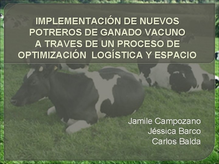 IMPLEMENTACIÓN DE NUEVOS POTREROS DE GANADO VACUNO A TRAVES DE UN PROCESO DE OPTIMIZACIÓN IMPLEMENTACIÓN DE NUEVOS POTREROS DE GANADO VACUNO A TRAVES DE UN PROCESO DE OPTIMIZACIÓN