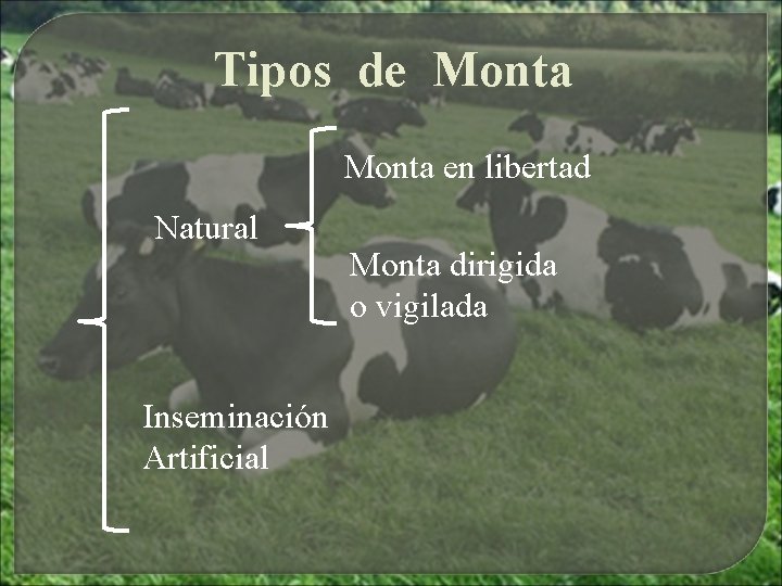 Tipos de Monta en libertad Natural Inseminación Artificial Monta dirigida o vigilada Tipos de Monta en libertad Natural Inseminación Artificial Monta dirigida o vigilada