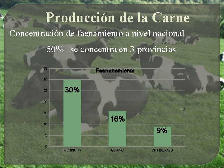 Producción de la Carne Concentración de faenamiento a nivel nacional 50% se concentra en Producción de la Carne Concentración de faenamiento a nivel nacional 50% se concentra en