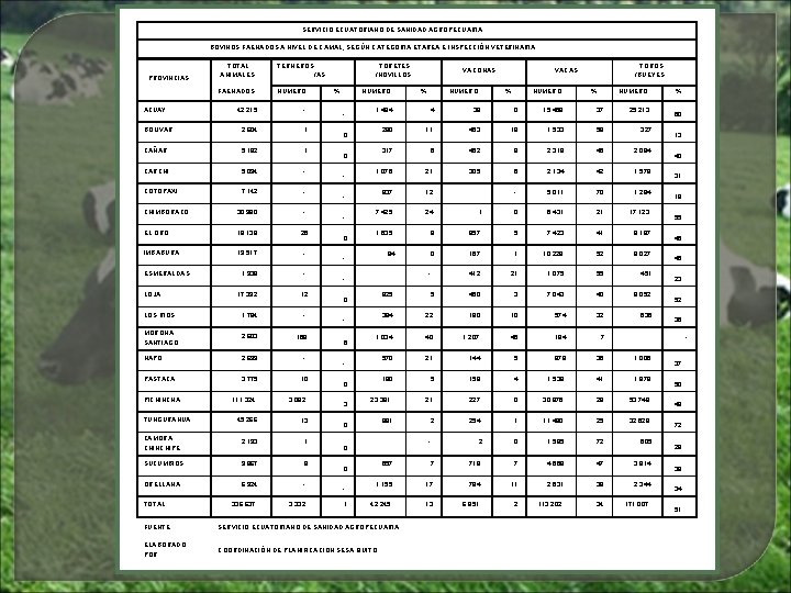 SERVICIO ECUATORIANO DE SANIDAD AGROPECUARIA BOVINOS FAENADOS A NIVEL DE CAMAL, SEGÚN CATEGORIA ETAREA SERVICIO ECUATORIANO DE SANIDAD AGROPECUARIA BOVINOS FAENADOS A NIVEL DE CAMAL, SEGÚN CATEGORIA ETAREA