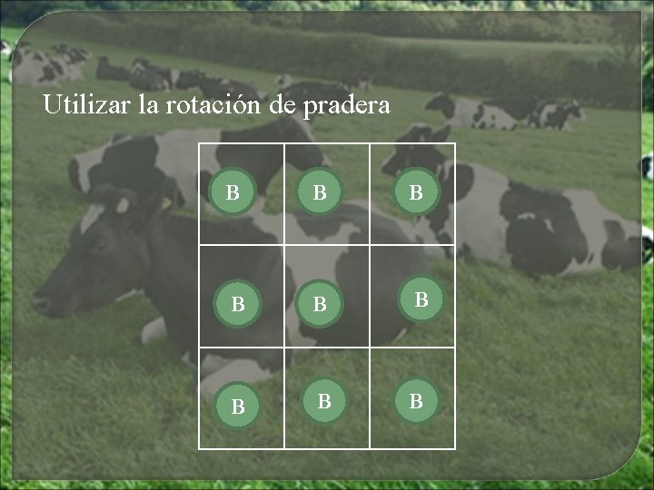 Utilizar la rotación de pradera B B B B B Utilizar la rotación de pradera B B B B B
