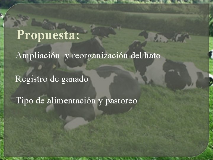 Propuesta: Ampliación y reorganización del hato Registro de ganado Tipo de alimentación y pastoreo Propuesta: Ampliación y reorganización del hato Registro de ganado Tipo de alimentación y pastoreo