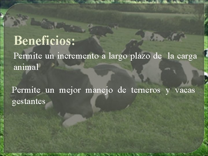 Beneficios: Permite un incremento a largo plazo de la carga animal Permite un mejor Beneficios: Permite un incremento a largo plazo de la carga animal Permite un mejor