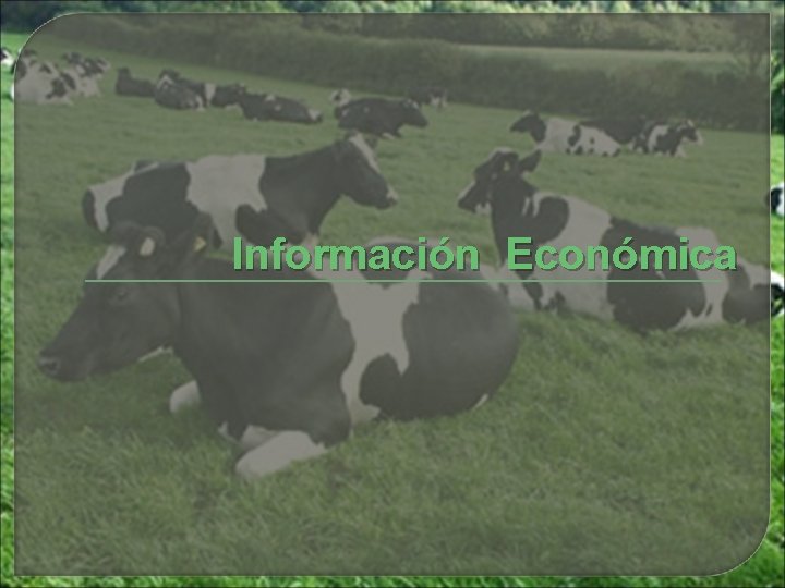 Información Económica Información Económica