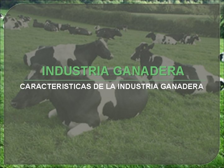 INDUSTRIA GANADERA CARACTERISTICAS DE LA INDUSTRIA GANADERA INDUSTRIA GANADERA CARACTERISTICAS DE LA INDUSTRIA GANADERA