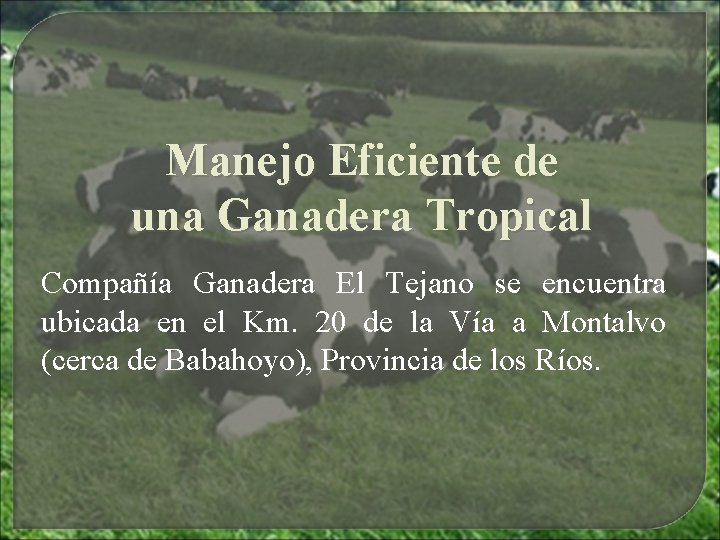 Manejo Eficiente de una Ganadera Tropical Compañía Ganadera El Tejano se encuentra ubicada en Manejo Eficiente de una Ganadera Tropical Compañía Ganadera El Tejano se encuentra ubicada en