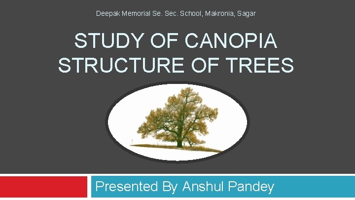 Deepak Memorial Se. Sec. School, Makronia, Sagar STUDY OF CANOPIA STRUCTURE OF TREES Presented