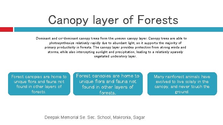 Canopy layer of Forests Dominant and co-dominant canopy trees form the uneven canopy layer.