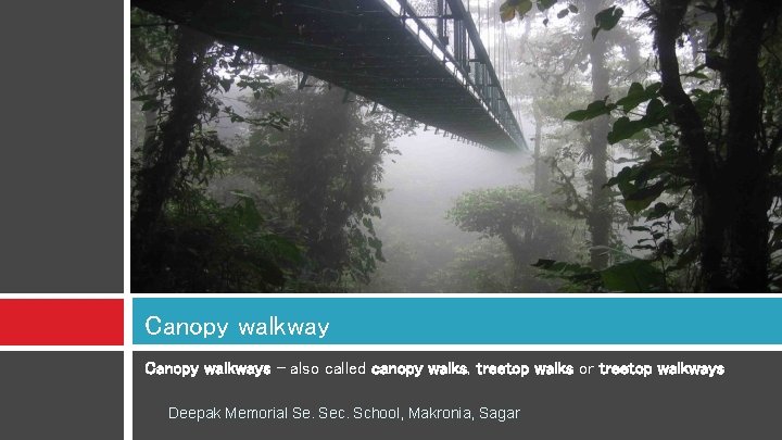 Canopy walkways - also called canopy walks, treetop walks or treetop walkways Deepak Memorial