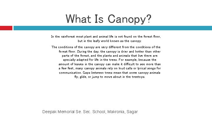 What Is Canopy? In the rainforest most plant and animal life is not found
