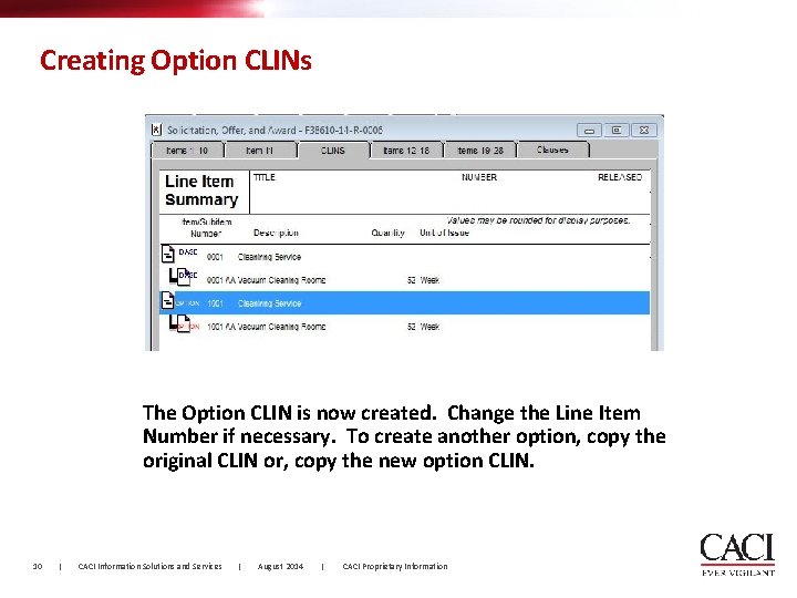 Creating Option CLINs The Option CLIN is now created. Change the Line Item Number