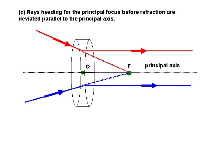 (c) Rays heading for the principal focus before refraction are deviated parallel to the