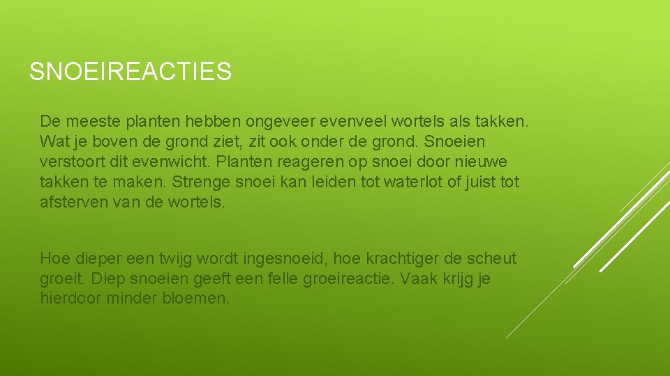 SNOEIREACTIES De meeste planten hebben ongeveer evenveel wortels als takken. Wat je boven de