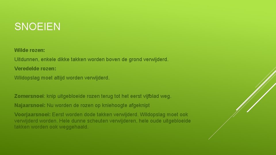 SNOEIEN Wilde rozen: Uitdunnen, enkele dikke takken worden boven de grond verwijderd. Veredelde rozen: