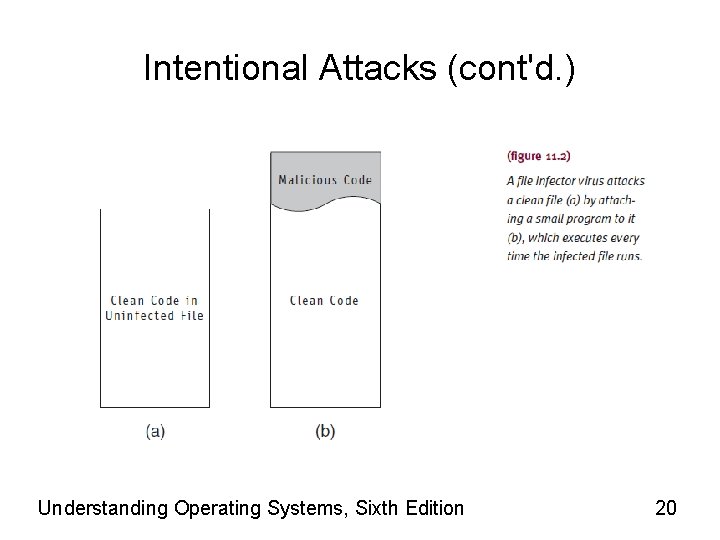 Intentional Attacks (cont'd. ) Understanding Operating Systems, Sixth Edition 20 