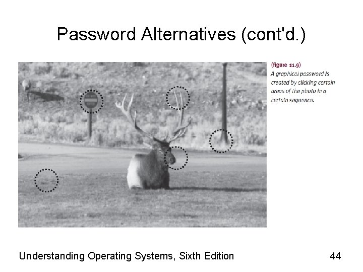 Password Alternatives (cont'd. ) Understanding Operating Systems, Sixth Edition 44 