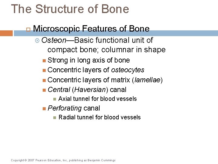 The Structure of Bone Microscopic Features of Bone Osteon—Basic functional unit of compact bone;