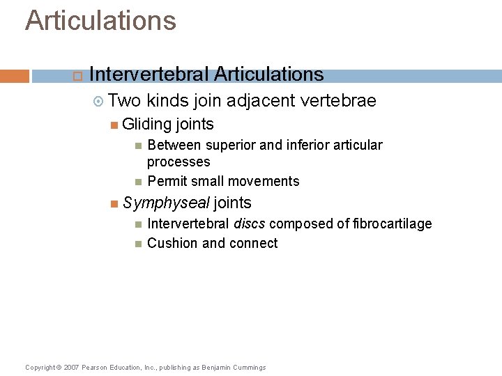 Articulations Intervertebral Articulations Two kinds join adjacent vertebrae Gliding joints Between superior and inferior