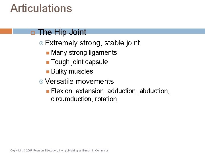 Articulations The Hip Joint Extremely strong, stable joint Many strong ligaments Tough joint capsule