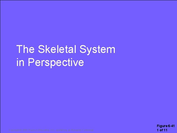 The Skeletal System in Perspective Copyright © 2007 Pearson Education, Inc. , publishing as