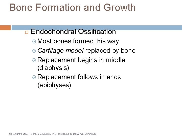 Bone Formation and Growth Endochondral Ossification Most bones formed this way Cartilage model replaced