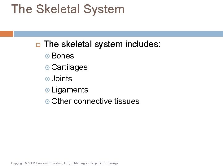 The Skeletal System The skeletal system includes: Bones Cartilages Joints Ligaments Other connective tissues