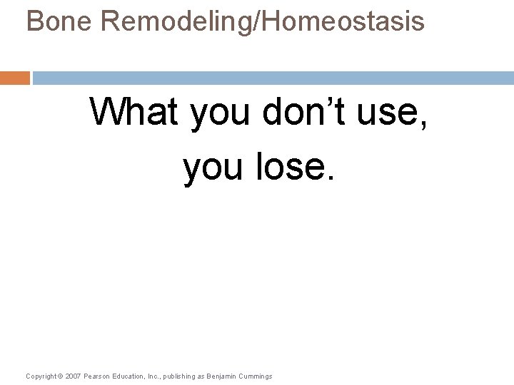 Bone Remodeling/Homeostasis What you don’t use, you lose. Copyright © 2007 Pearson Education, Inc.