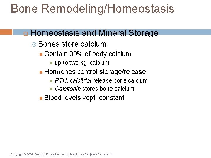 Bone Remodeling/Homeostasis and Mineral Storage Bones store calcium Contain 99% of body calcium up