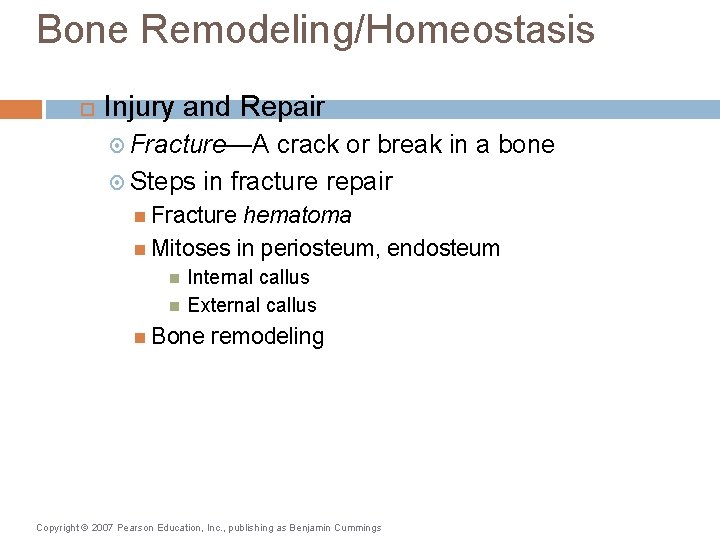 Bone Remodeling/Homeostasis Injury and Repair Fracture—A crack or break in a bone Steps in