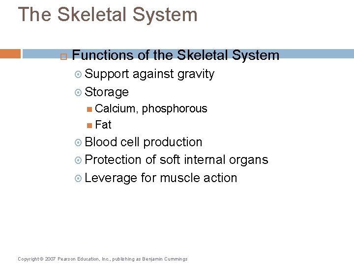 The Skeletal System Functions of the Skeletal System Support against gravity Storage Calcium, phosphorous