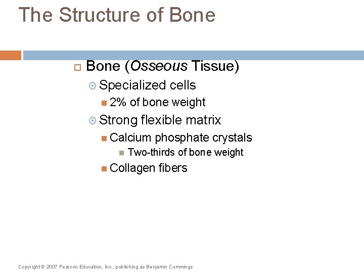 The Structure of Bone (Osseous Tissue) Specialized 2% of bone weight Strong flexible matrix