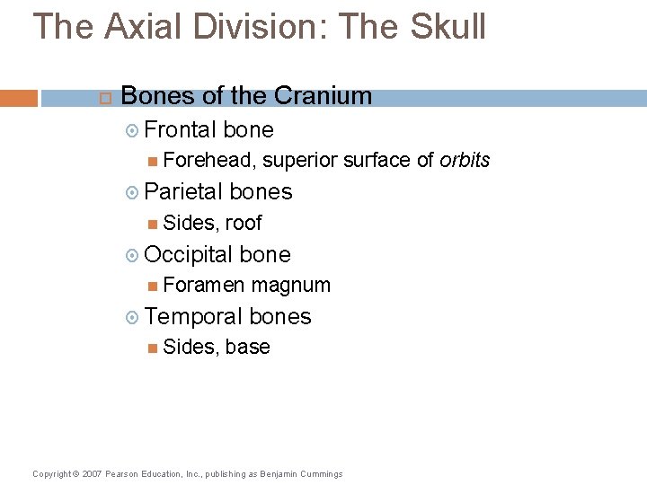 The Axial Division: The Skull Bones of the Cranium Frontal bone Forehead, Parietal Sides,