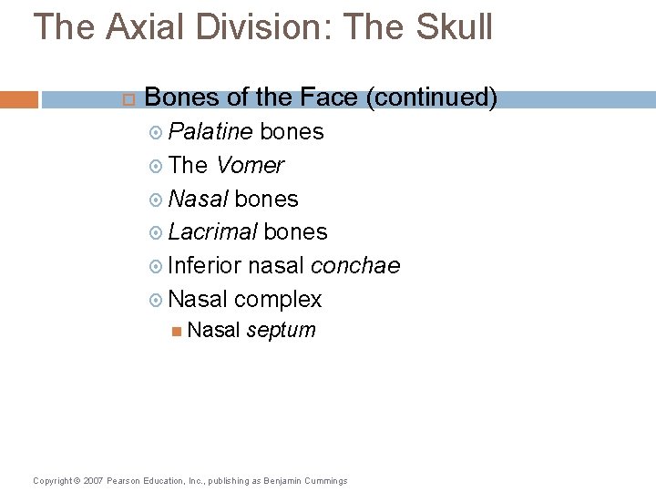 The Axial Division: The Skull Bones of the Face (continued) Palatine bones The Vomer