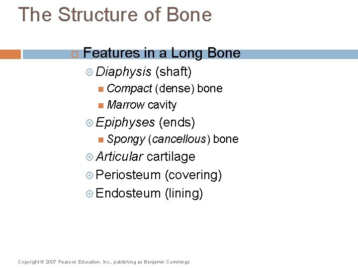 The Structure of Bone Features in a Long Bone Diaphysis (shaft) Compact (dense) bone