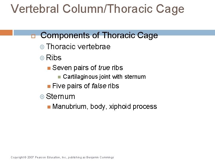 Vertebral Column/Thoracic Cage Components of Thoracic Cage Thoracic vertebrae Ribs Seven pairs of true