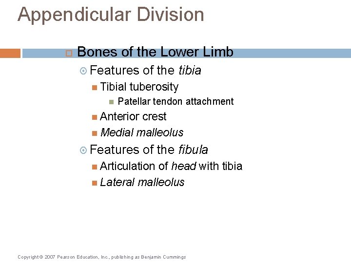 Appendicular Division Bones of the Lower Limb Features Tibial of the tibia tuberosity Patellar