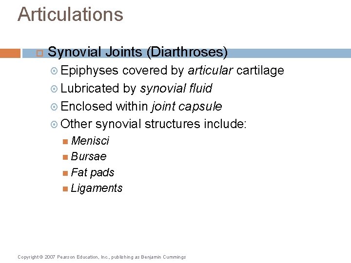 Articulations Synovial Joints (Diarthroses) Epiphyses covered by articular cartilage Lubricated by synovial fluid Enclosed