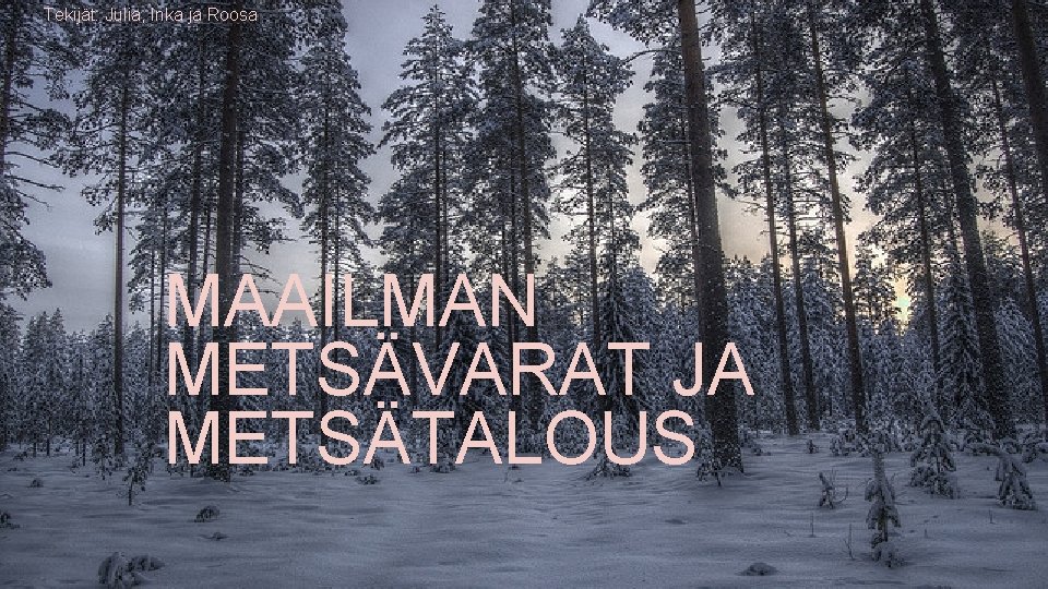 Tekijät: Julia, Inka ja Roosa MAAILMAN METSÄVARAT JA METSÄTALOUS Tekijät: Julia, Inka ja Roosa MAAILMAN METSÄVARAT JA METSÄTALOUS