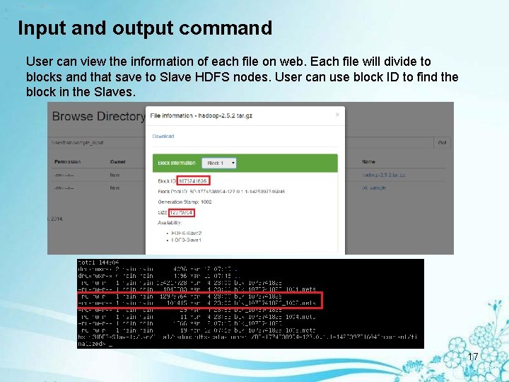 Input and output command User can view the information of each file on web.