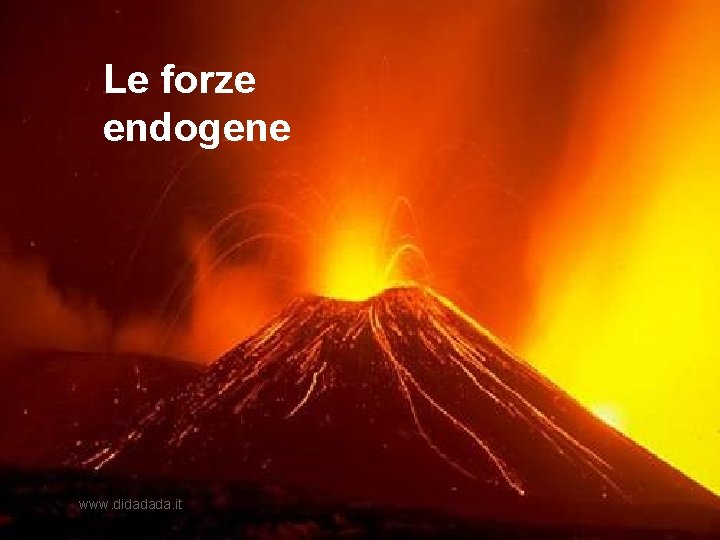 Le forze endogene www. didadada. it 