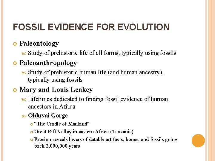 FOSSIL EVIDENCE FOR EVOLUTION Paleontology Study of prehistoric life of all forms, typically using
